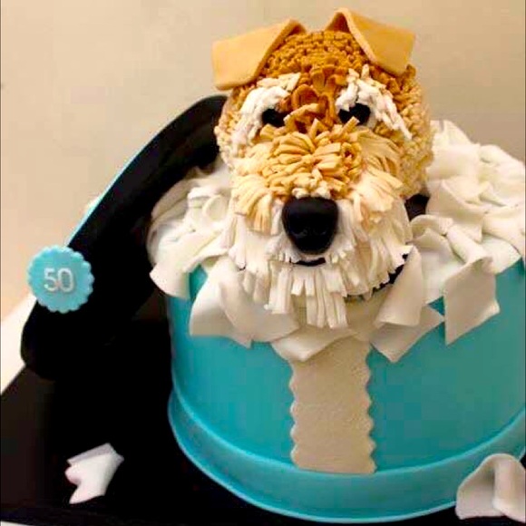 Meet your Posher, Elizabeth - Picture 8 of 8